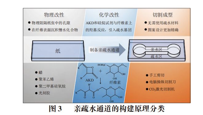 《食品科学》：西北农林科技大学张敏副教授等：纸基微流控电化学芯片检测农药残留的研(图6)