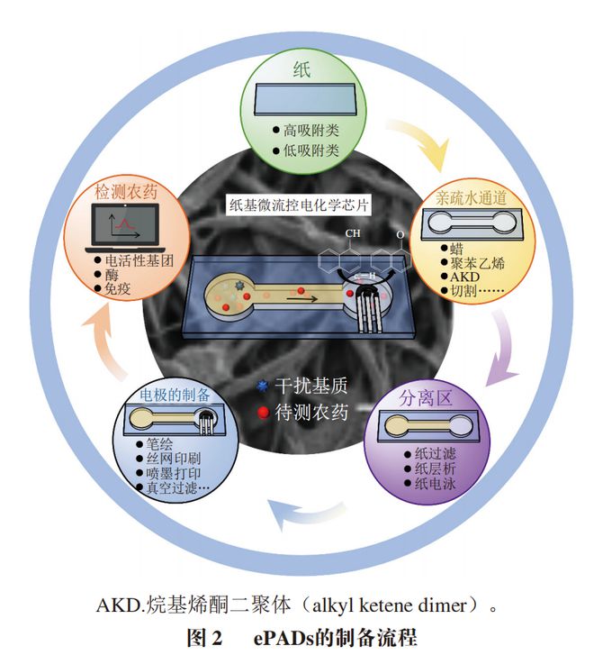 《食品科学》：西北农林科技大学张敏副教授等：纸基微流控电化学芯片检测农药残留的研(图2)