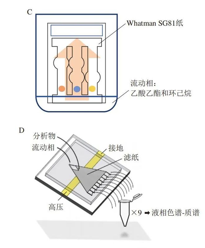 《食品科学》：西北农林科技大学张敏副教授等：纸基微流控电化学芯片检测农药残留的研(图8)